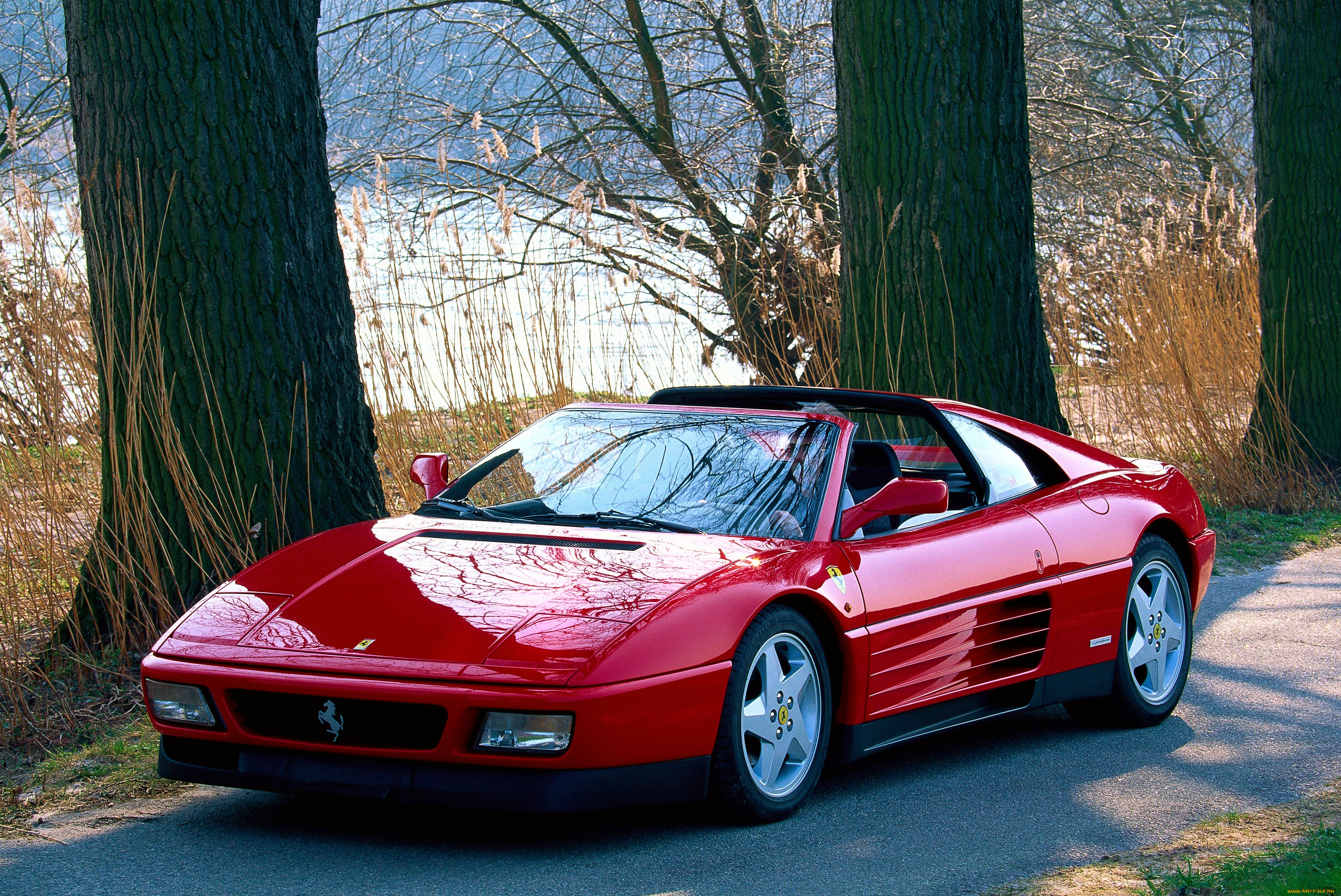 ����������, ferrari